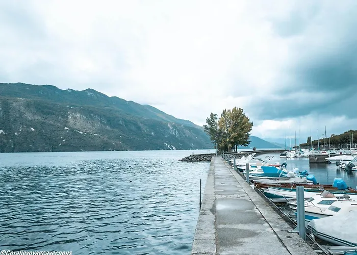 T3 Avec Terrasse, Garage Et Wifi A - Fr-1-555-120 公寓 艾克斯莱班